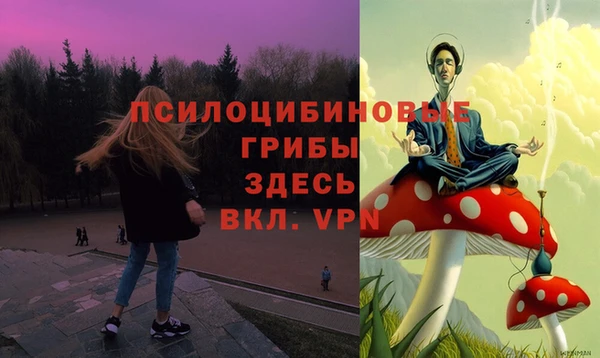 спайс Арсеньев