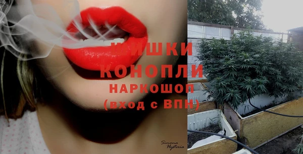 ГАЛЛЮЦИНОГЕННЫЕ ГРИБЫ Армянск