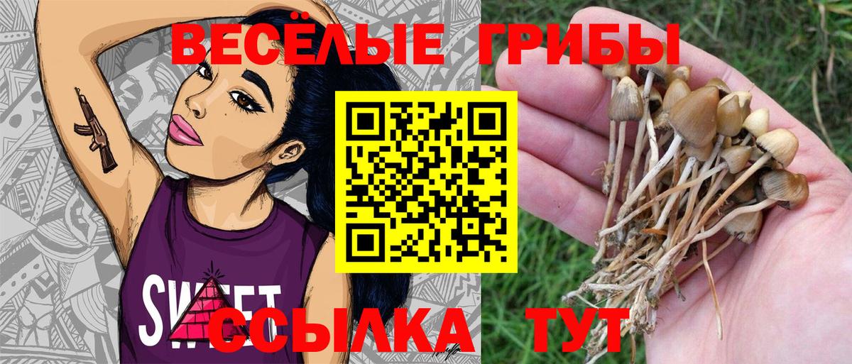 Псилоцибиновые грибы Cubensis Кондопога