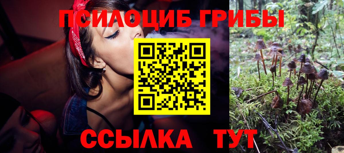 Кондопога  наркошоп  Вход с VPN  Галлюциногенные грибы Psilocybine cubensis 